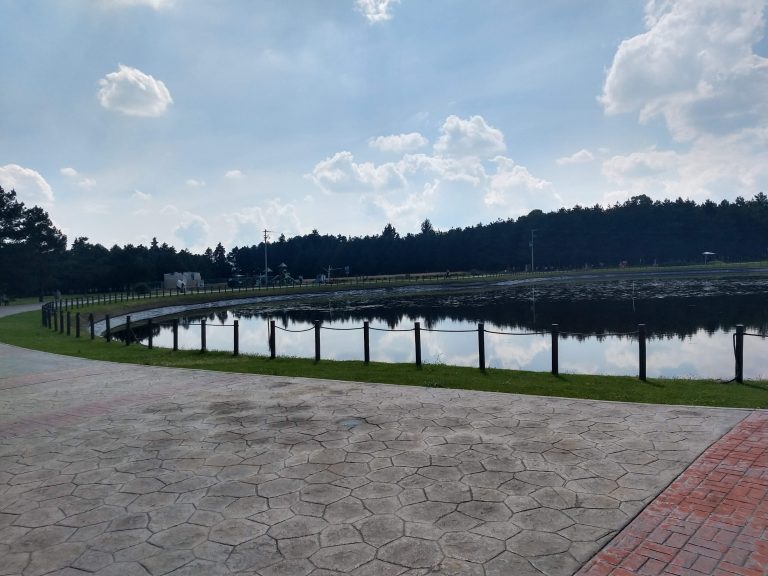 IMG_20191117_124253399_HDR